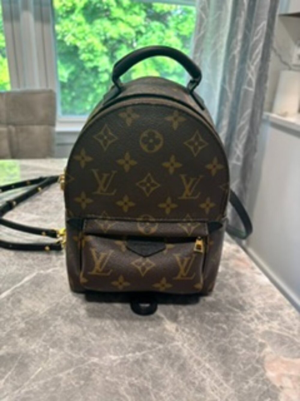 Louis Vuitton Palm Springs Backpack Monogram Canvas Mini